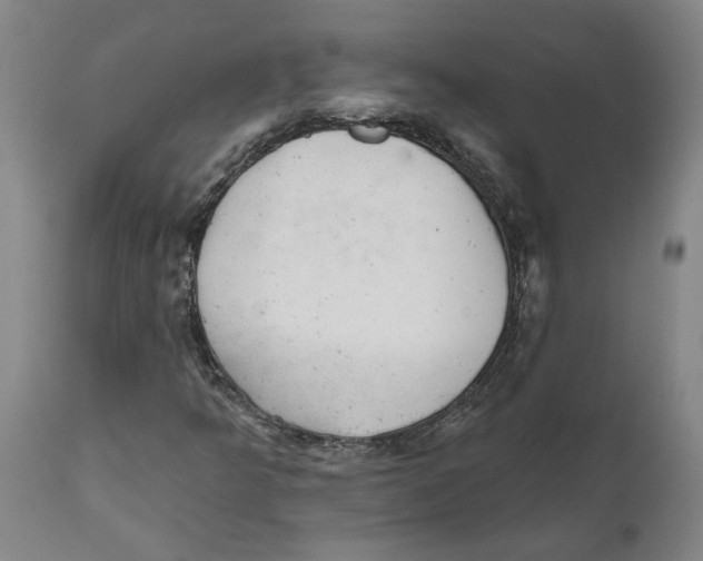 X0000111941349200908241130