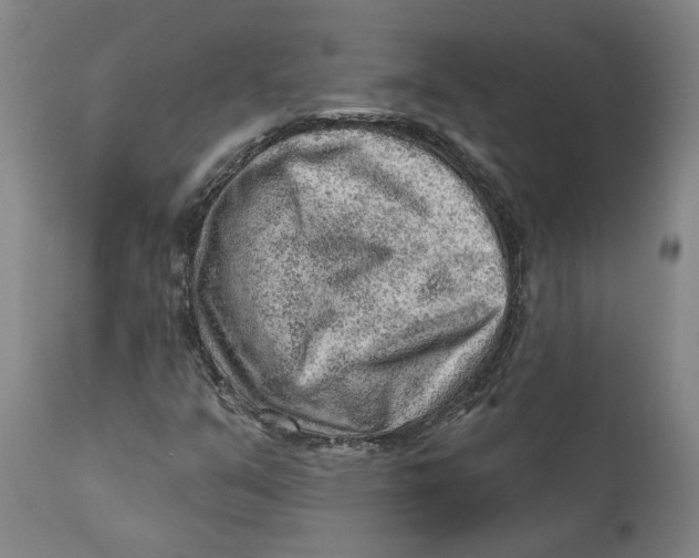 X0000111941351200908241130