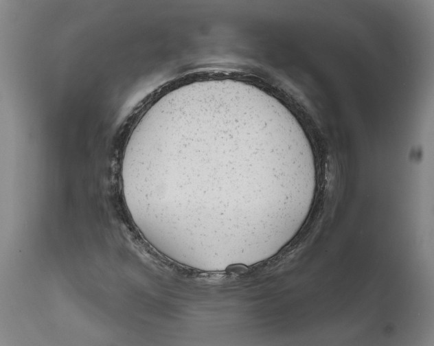 X0000111941352200908241130