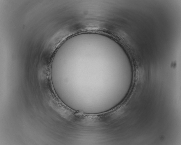 X0000111941353200908241130