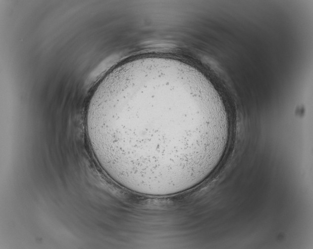 X0000111941354200908241130