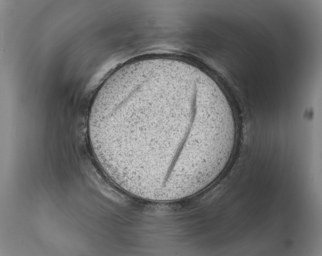 X0000111941355200908241130