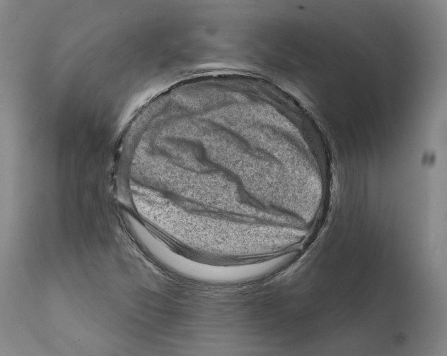 X0000111941357200908241130