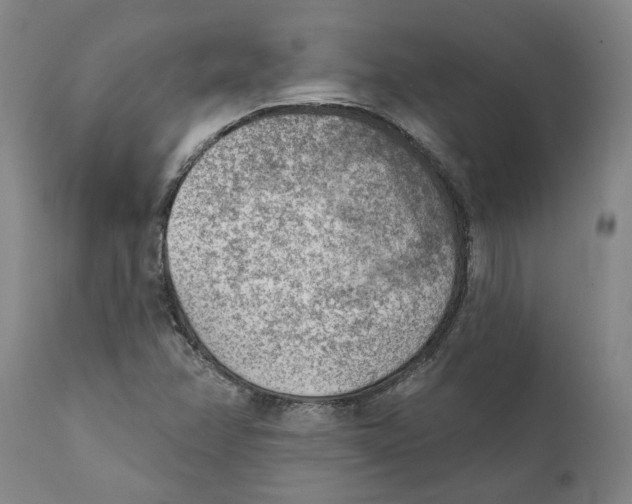 X0000111941358200908241130