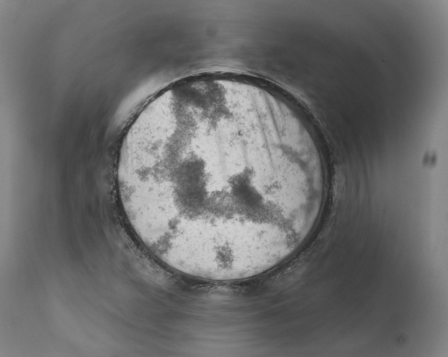 X0000111941359200908241130