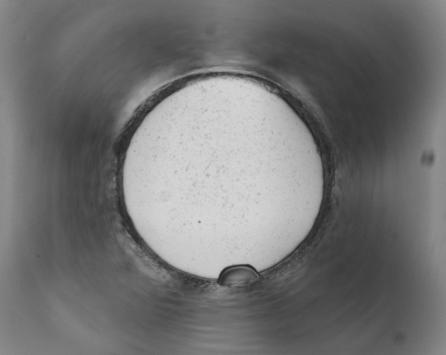 X0000111941360200908241130