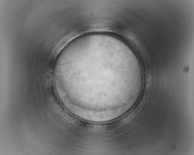 X0000111941361200908241130