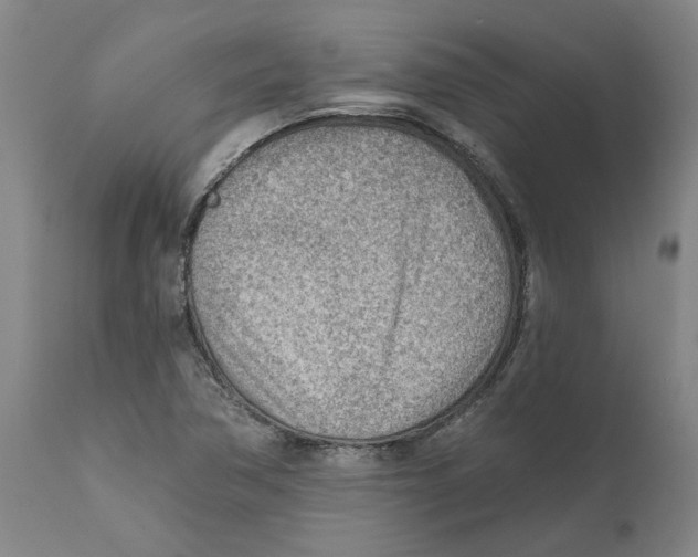 X0000111941362200908241130