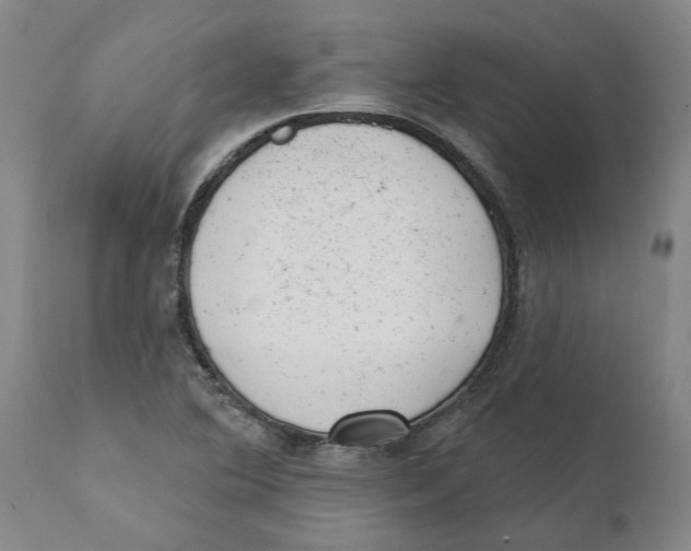 X0000111941364200908241130