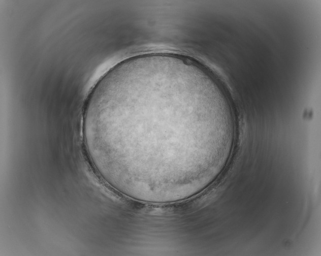 X0000111941365200908241130