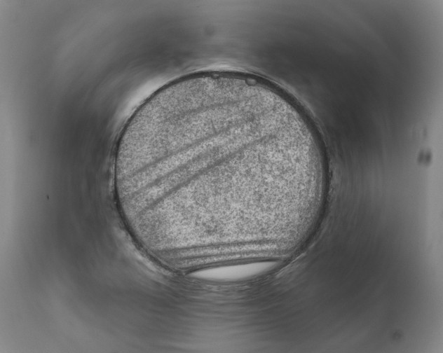 X0000111941367200908241130