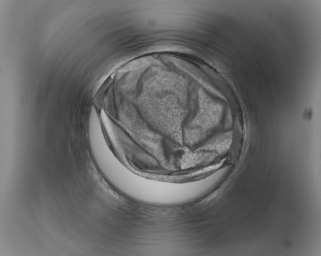 X0000111941369200908241130