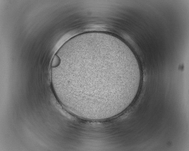 X0000111941370200908241130