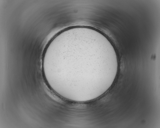 X0000111941372200908241130