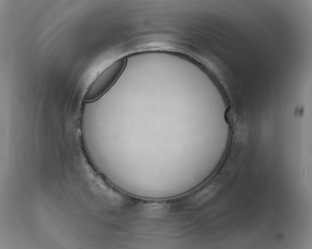 X0000111941373200908241130