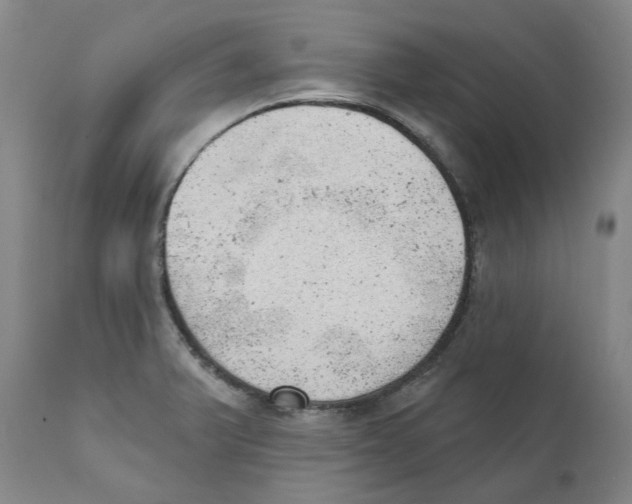 X0000111941375200908241130