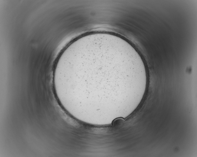 X0000111941376200908241130