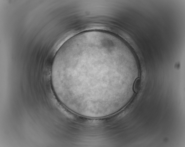 X0000111941377200908241130