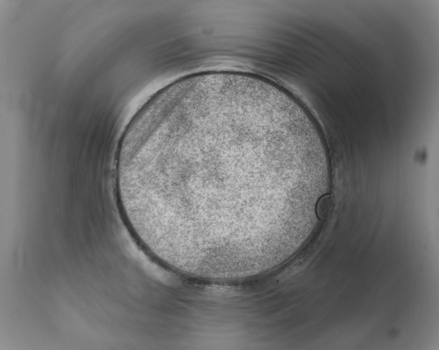 X0000111941379200908241130