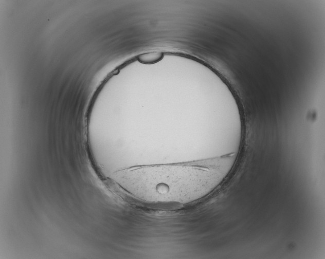 X0000111941380200908241130