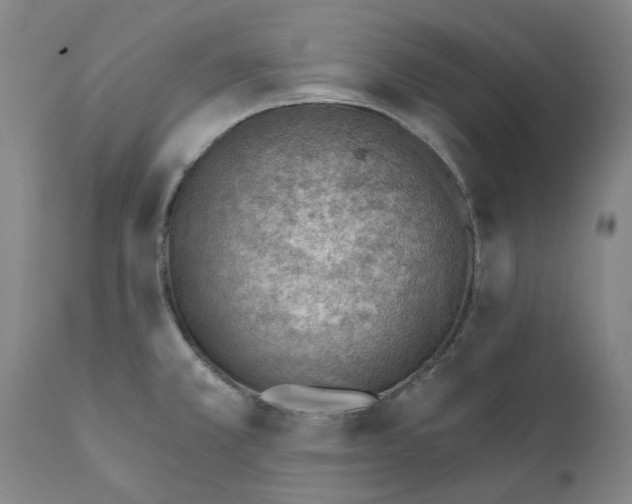 X0000111941381200908241130