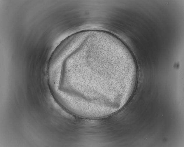 X0000111941382200908241130