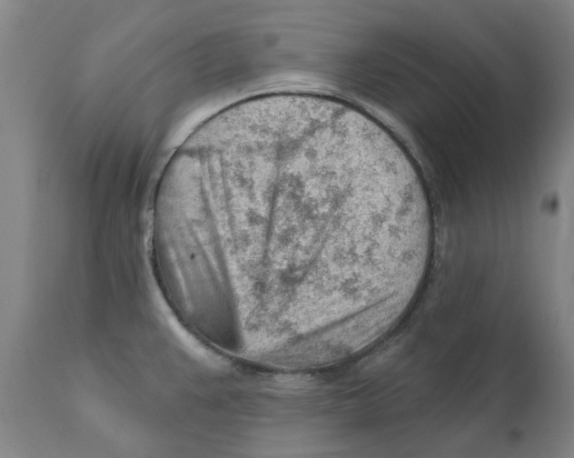 X0000111941383200908241130