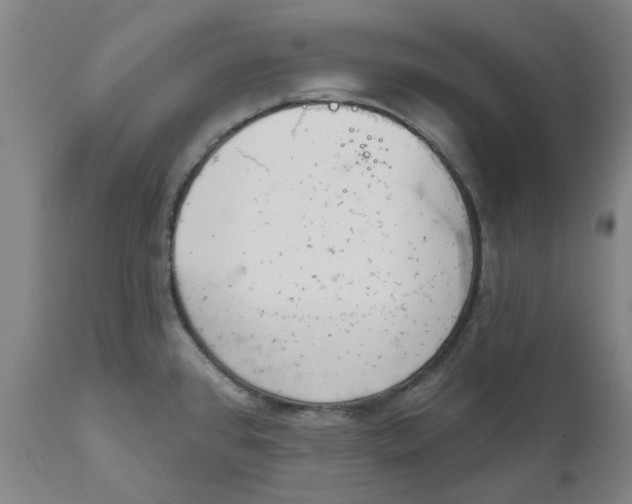 X0000111941384200908241130