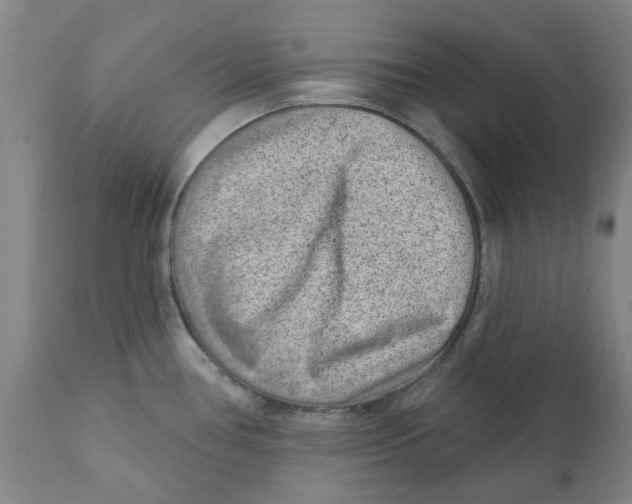 X0000111941386200908241130