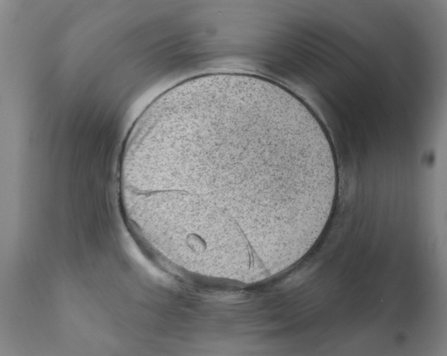 X0000111941387200908241130