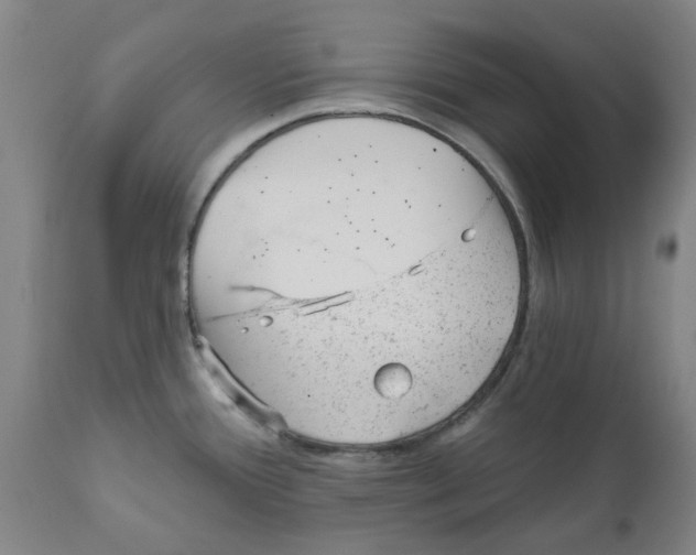 X0000111941388200908241130