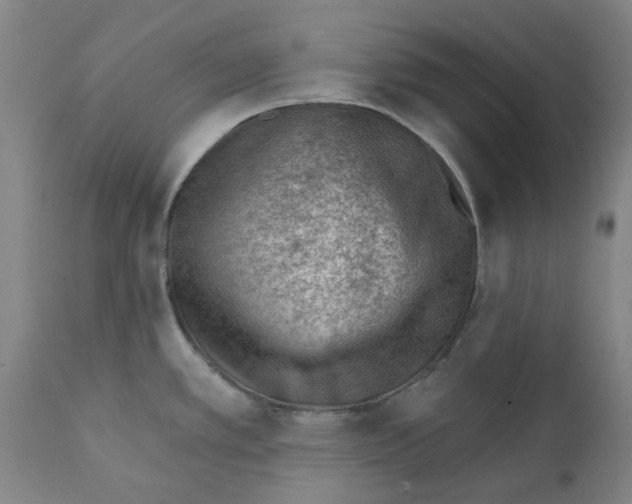 X0000111941389200908241130