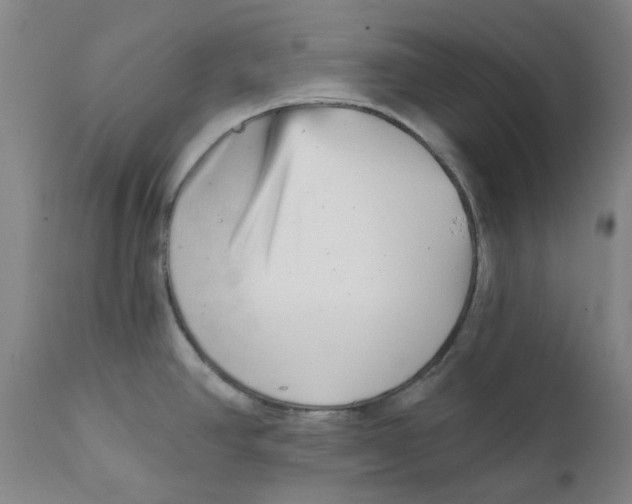 X0000111941390200908241130