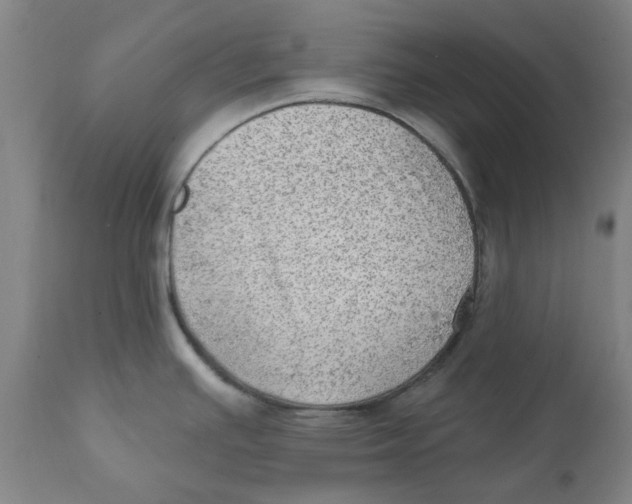 X0000111941391200908241130