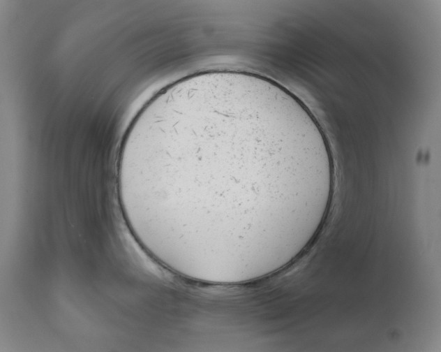 X0000111941392200908241130