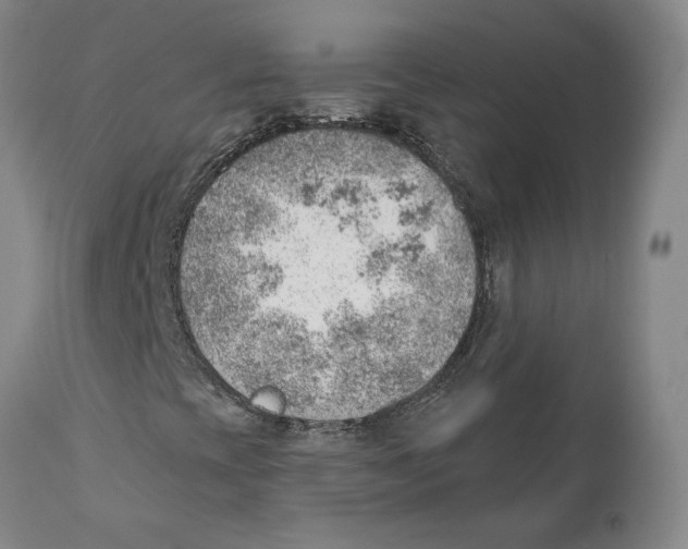 X0000111941393200908241129