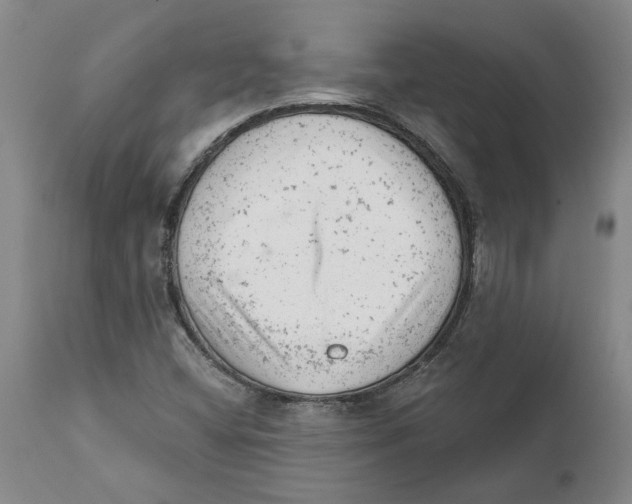 X0000111941404200908241129