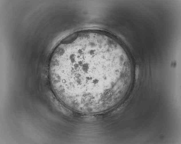 X0000111941405200908241129