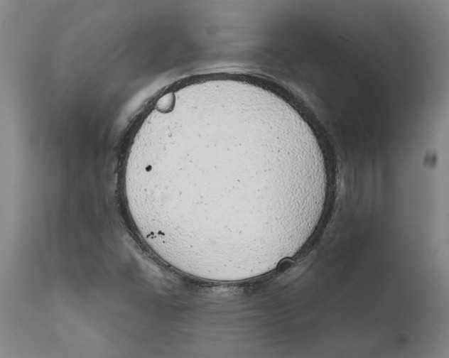 X0000111941406200908241129