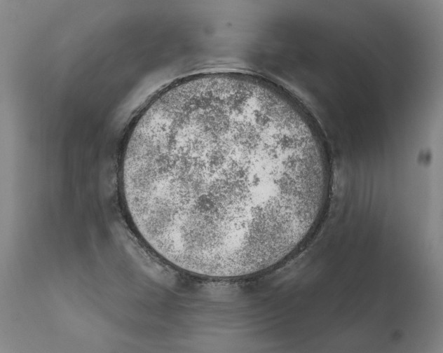 X0000111941407200908241129