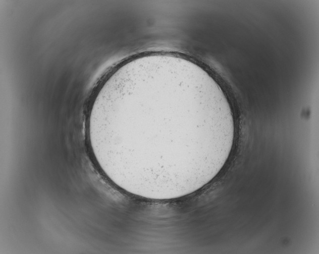 X0000111941408200908241129