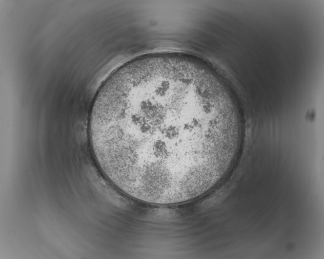 X0000111941409200908241129