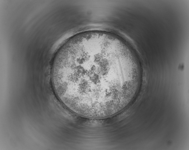 X0000111941411200908241129