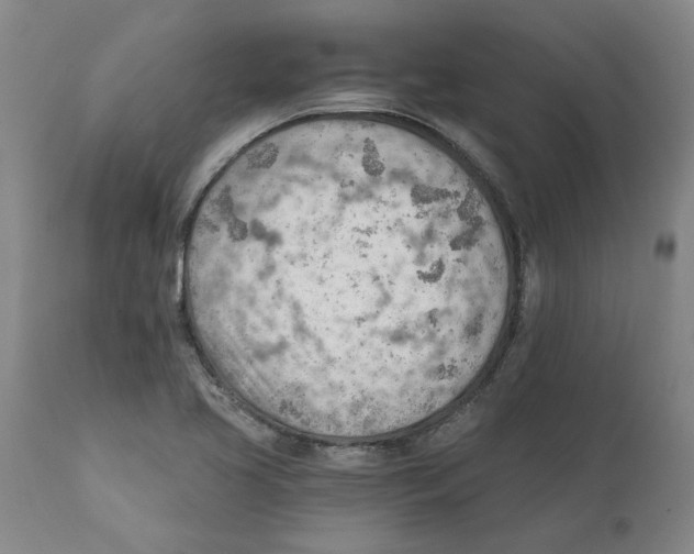 X0000111941413200908241129