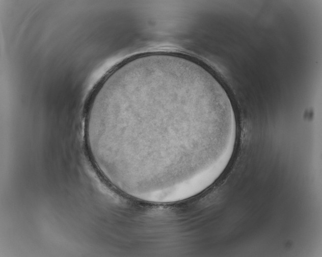 X0000111941414200908241129