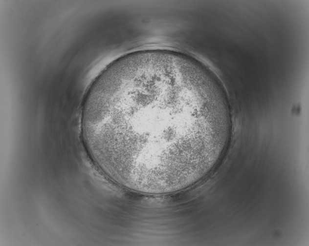 X0000111941415200908241129