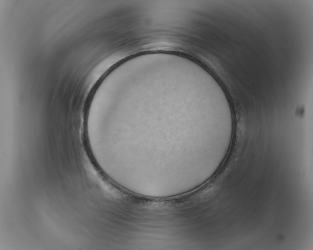 X0000111941418200908241129