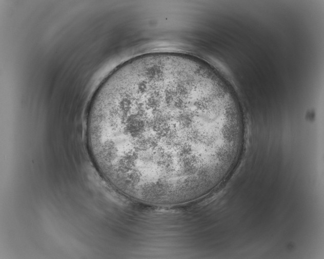 X0000111941419200908241129