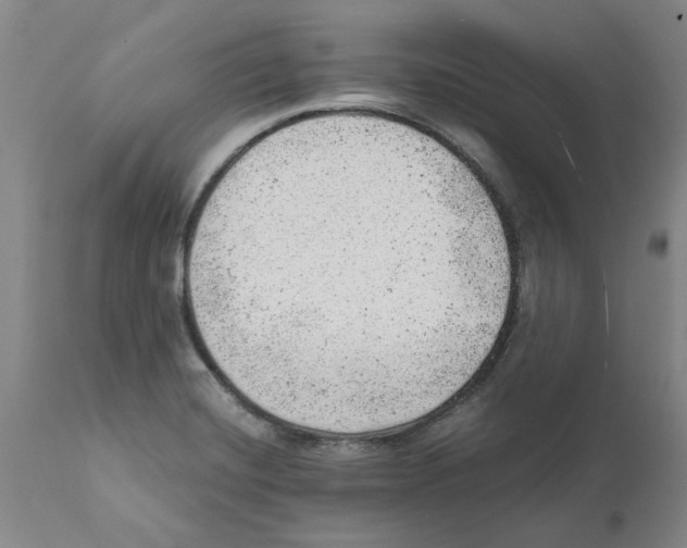 X0000111941420200908241129