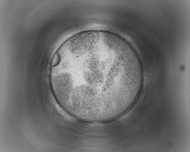 X0000111941421200908241129